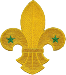 220px-WikiProject_Scouting_fleur-de-lis_no_scroll